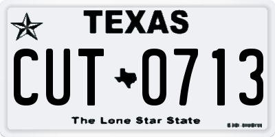TX license plate CUT0713