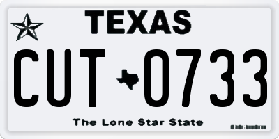 TX license plate CUT0733