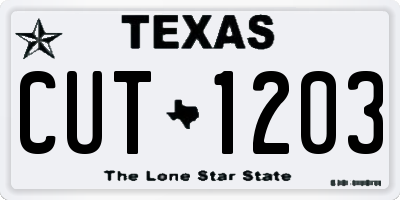 TX license plate CUT1203
