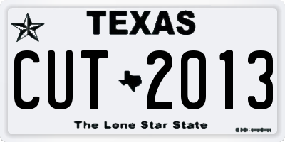 TX license plate CUT2013