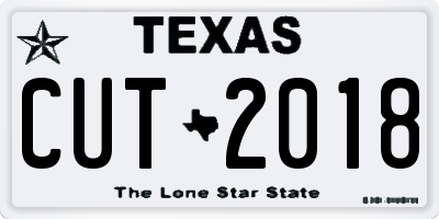 TX license plate CUT2018
