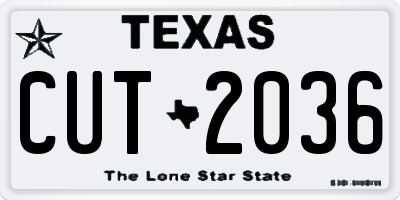 TX license plate CUT2036