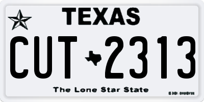 TX license plate CUT2313