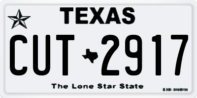 TX license plate CUT2917