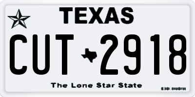 TX license plate CUT2918