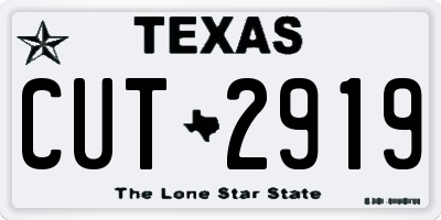 TX license plate CUT2919
