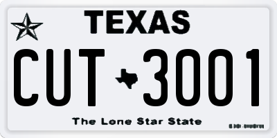 TX license plate CUT3001