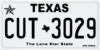 TX license plate CUT3029