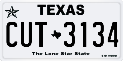 TX license plate CUT3134