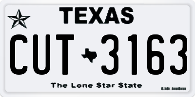 TX license plate CUT3163