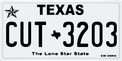 TX license plate CUT3203
