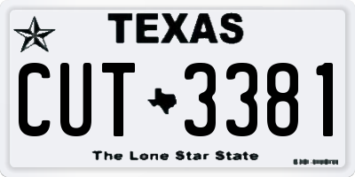 TX license plate CUT3381