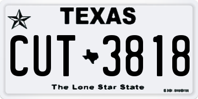 TX license plate CUT3818