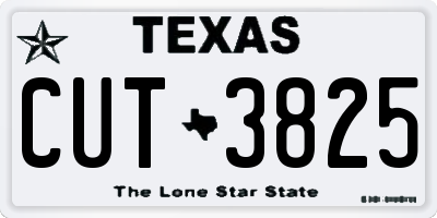 TX license plate CUT3825