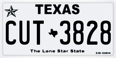 TX license plate CUT3828