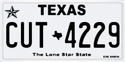 TX license plate CUT4229