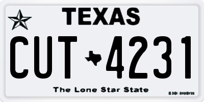 TX license plate CUT4231