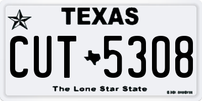 TX license plate CUT5308