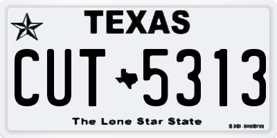 TX license plate CUT5313