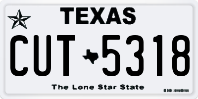 TX license plate CUT5318