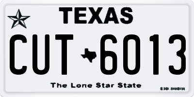 TX license plate CUT6013