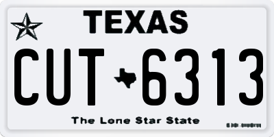 TX license plate CUT6313