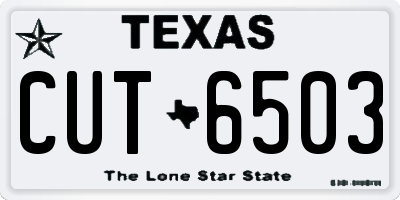 TX license plate CUT6503