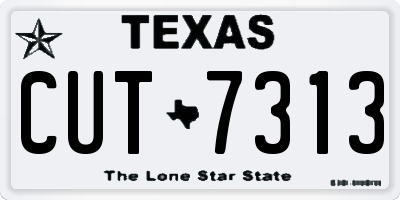 TX license plate CUT7313