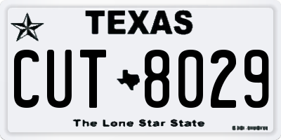 TX license plate CUT8029