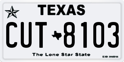 TX license plate CUT8103