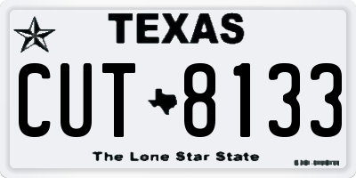 TX license plate CUT8133