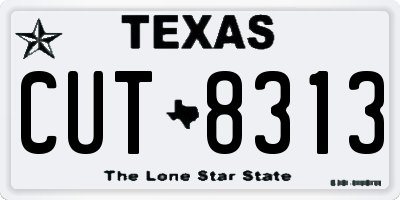 TX license plate CUT8313