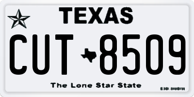 TX license plate CUT8509