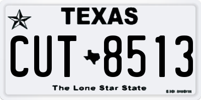 TX license plate CUT8513