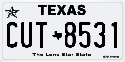 TX license plate CUT8531