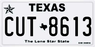 TX license plate CUT8613
