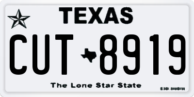TX license plate CUT8919