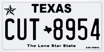TX license plate CUT8954