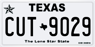 TX license plate CUT9029