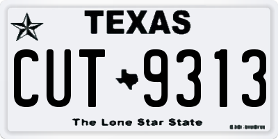 TX license plate CUT9313