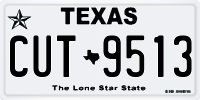 TX license plate CUT9513
