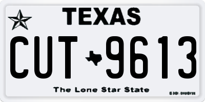 TX license plate CUT9613