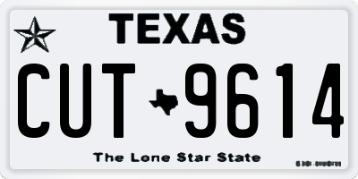 TX license plate CUT9614