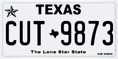 TX license plate CUT9873
