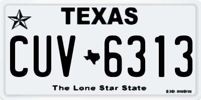 TX license plate CUV6313