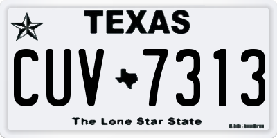 TX license plate CUV7313