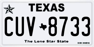 TX license plate CUV8733