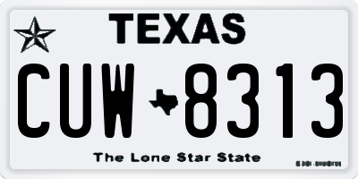 TX license plate CUW8313