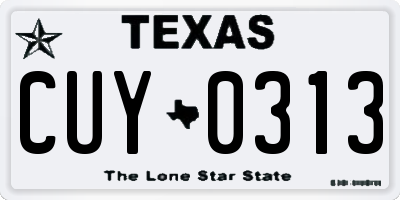 TX license plate CUY0313