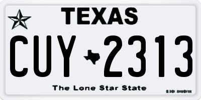 TX license plate CUY2313